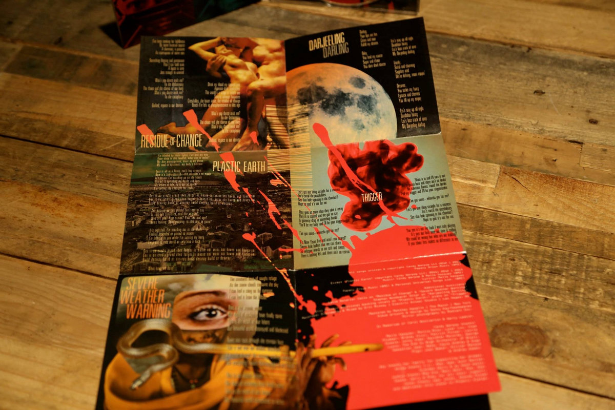 Image result for 12 panel digipak