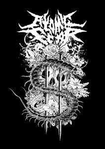 Music | Atomic Fear