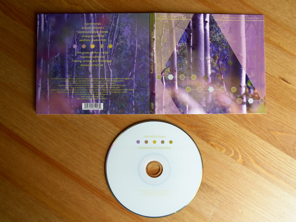 Intentions of a Haunting Marcellus Lewis