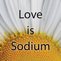 Love is Sodium image