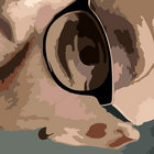 UnErhoert thumbnail