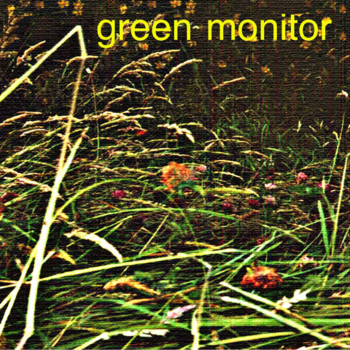 Green Monitor cover