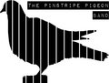 The Pinstripe Pigeon Band image