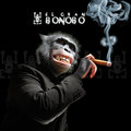 El Gran Bonobo image