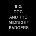 Big Dog and the Midnight Badgers image