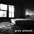 Grey Planet image