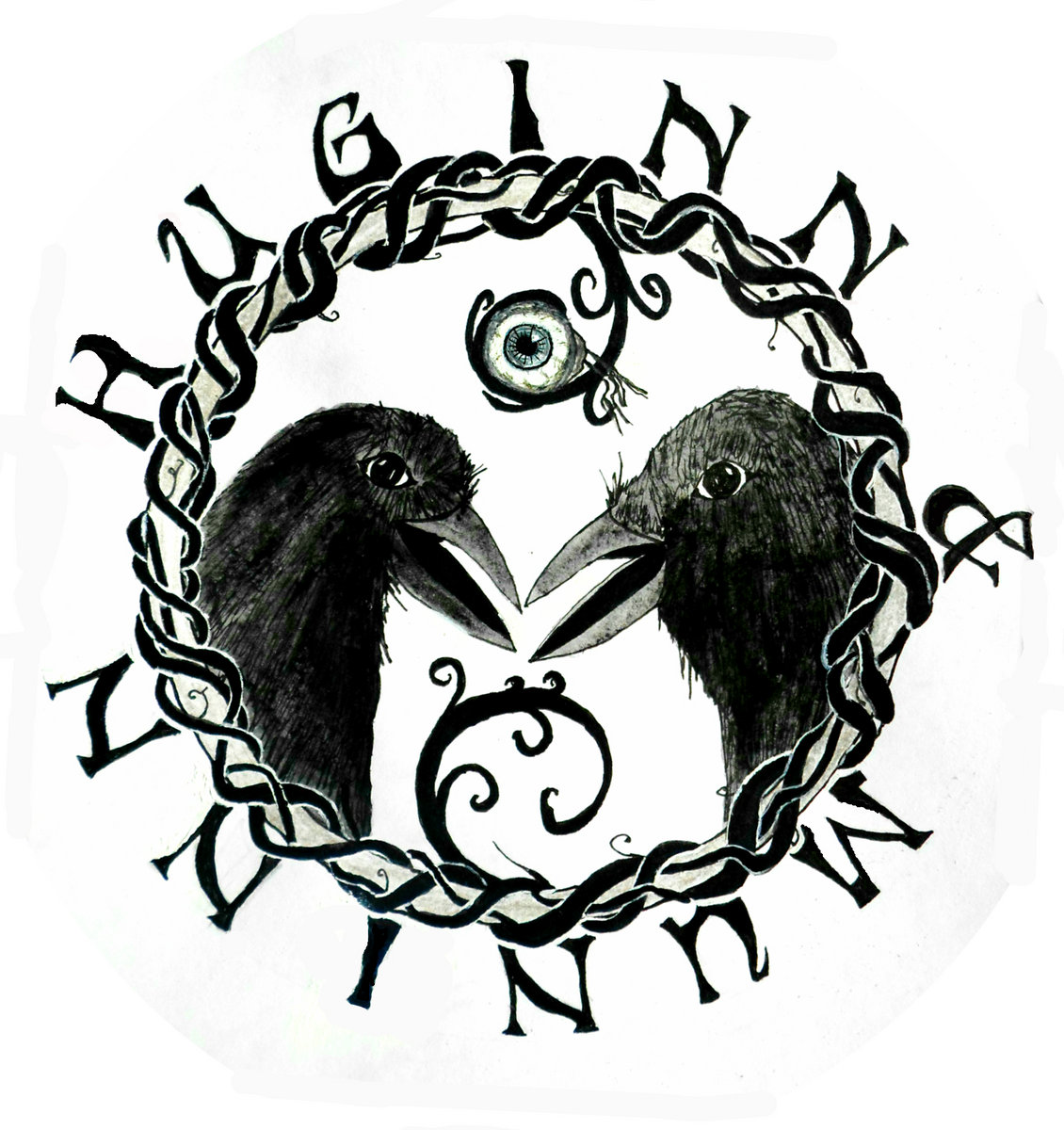 5 000 blackbirds fall out of the sky huginn muninn