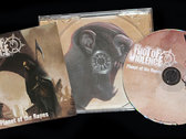 RIOT OF VIOLENCE TOTAL FAN PACK photo 