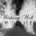 Wishing Well image