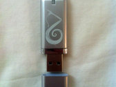Watching the Fern USB Drive - Reusable and Sustainable photo 