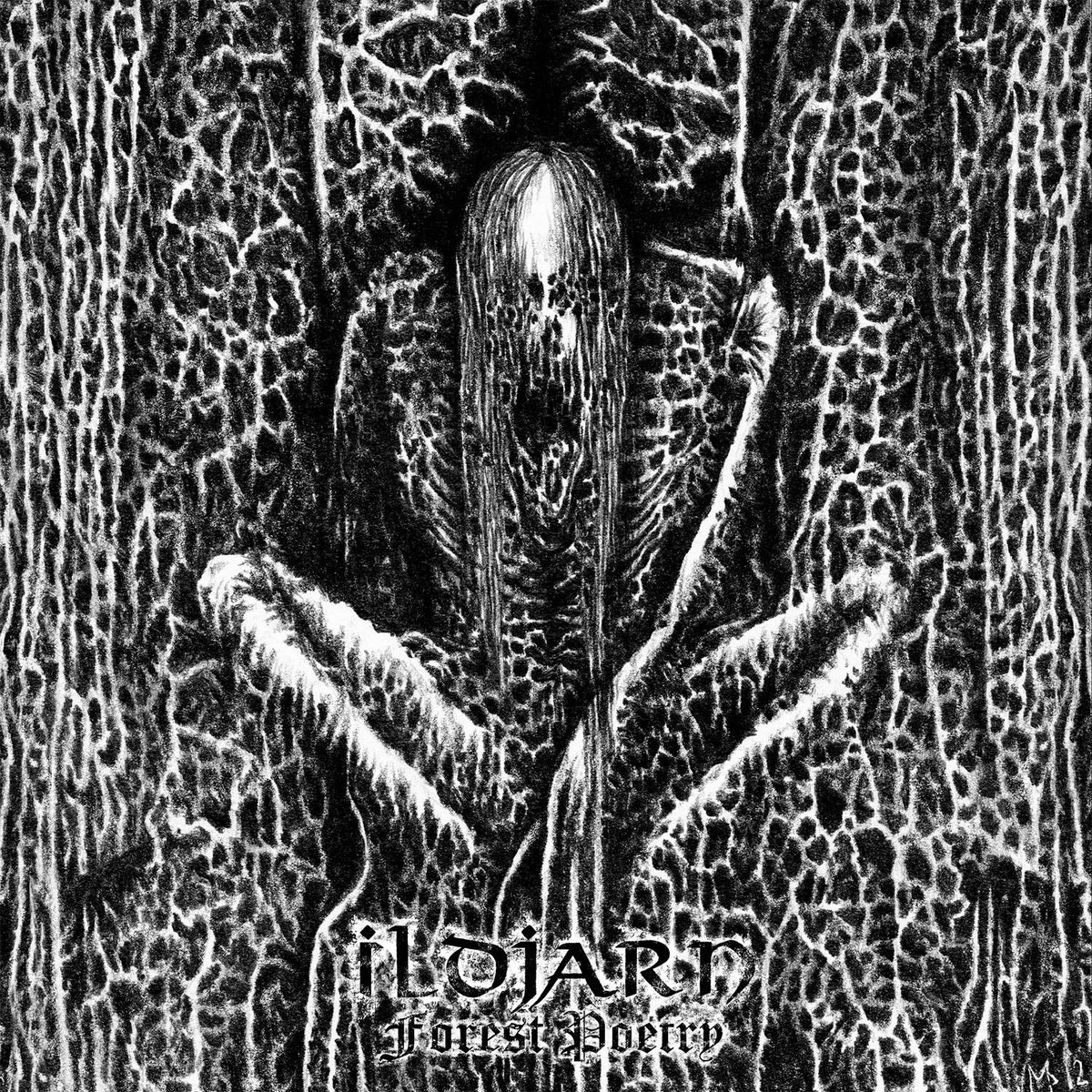 Music | Ildjarn