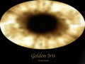 Golden Iris Productions image