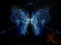 Butterfly X image