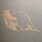 Bobb Cobb thumbnail