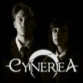 Cynerea image