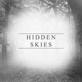 Hidden Skies image