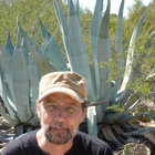Charles de Lint thumbnail