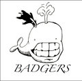 Badgers image