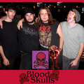 The Blood Skulls image