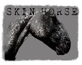 Skin Horse image