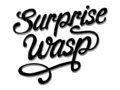 Surprise Wasp image