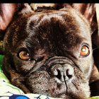 Doc Martin thumbnail