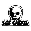 Los Caidos image