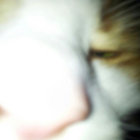 Per Hansen thumbnail