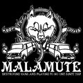 Malamute image