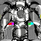 MORDA julien thumbnail
