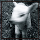 cataclyst thumbnail
