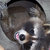 Sarah Raccoon thumbnail