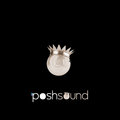 Posh Sound image