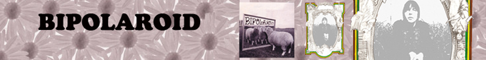 Bipolaroid — Photo
