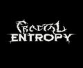 Fractal Entropy image