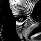 Nick Creature thumbnail