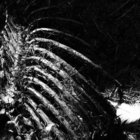 Brain Corrosion | DEAD INFECTION | obliteration records