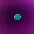 Pat Flanders thumbnail
