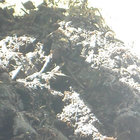domenico palatucci thumbnail