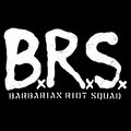 Barbarian Riot Squad image