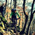 ruytero thumbnail