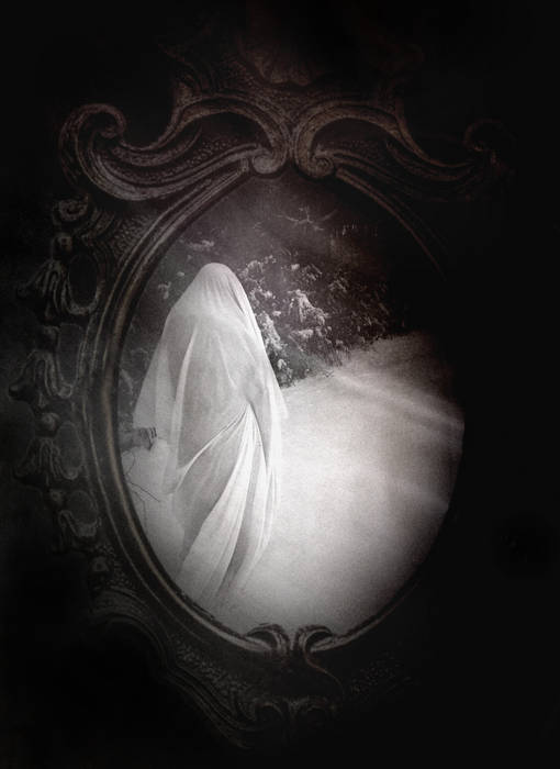 Music | The Owls Are Not What They Seem