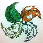 Moribund Brewing thumbnail