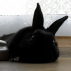 Chloé_K thumbnail