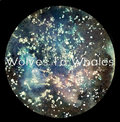 Wolves To Whales image
