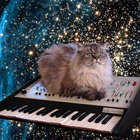 Zoltán Velkei thumbnail