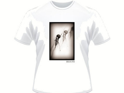 Disappearence White T Shirt - Women main photo