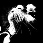 susan178210 thumbnail