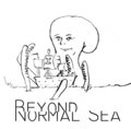 Beyond Normal Sea image