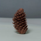 Ruurd van der Noord thumbnail